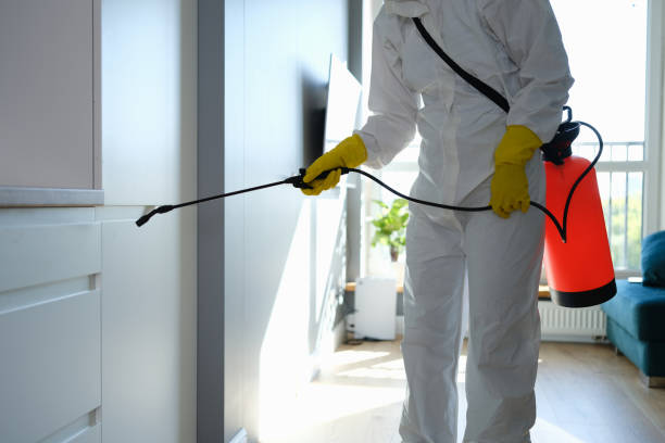 Best Commercial Mold Removal  in Mayfield Heights, OH